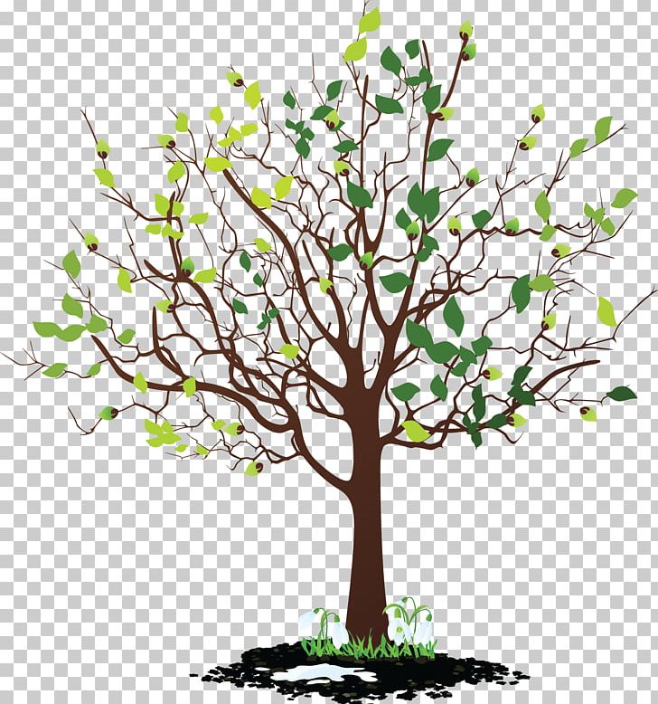 Tree PNG, Clipart, Branch, Clip Art, Computer Icons, Desktop Wallpaper, Download Free PNG Download
