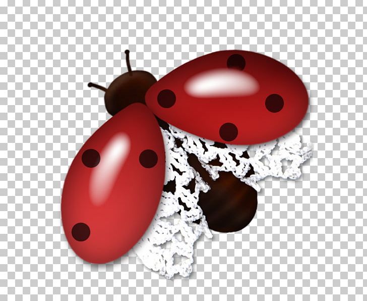 Beetle Coccinella Red PNG, Clipart, Abstract Art, Albom, Animal, Arthropod, Beautiful Free PNG Download