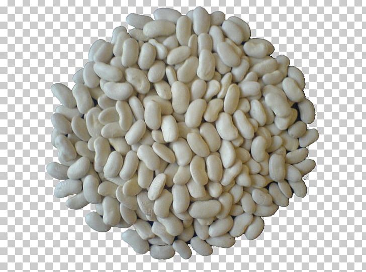 Common Bean Kastoria Legume Commodity Cepora PNG, Clipart, Bean, Commodity, Common Bean, Default, Gig Free PNG Download