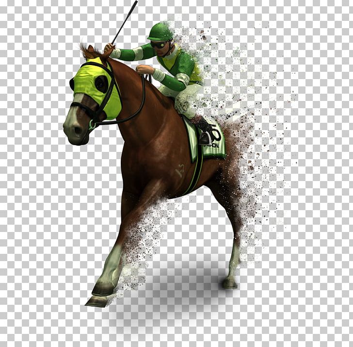 Horse Racing Horse Games Racing Video Game PNG, Clipart, Animals, Bridle, English Riding, Equestrian, Equestrian Sport Free PNG Download