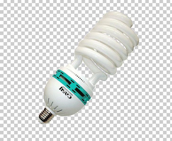 Incandescent Light Bulb Fluorescent Lamp Fluorescence PNG, Clipart, Aurora, Color, Color Temperature, Daylight, Edison Screw Free PNG Download