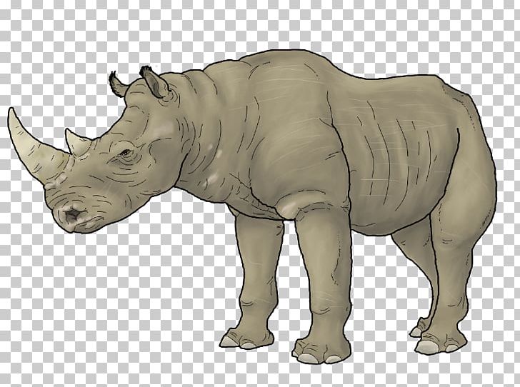 Rhinoceros Animal Carnivora Art Embolotherium PNG, Clipart, Animal, Art, Carnivora, Carnivoran, Cattle Free PNG Download