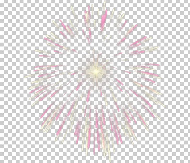 Fireworks Pink PNG, Clipart, Cartoon Fireworks, Chinese, Chinese New Year, Circle, Color Free PNG Download