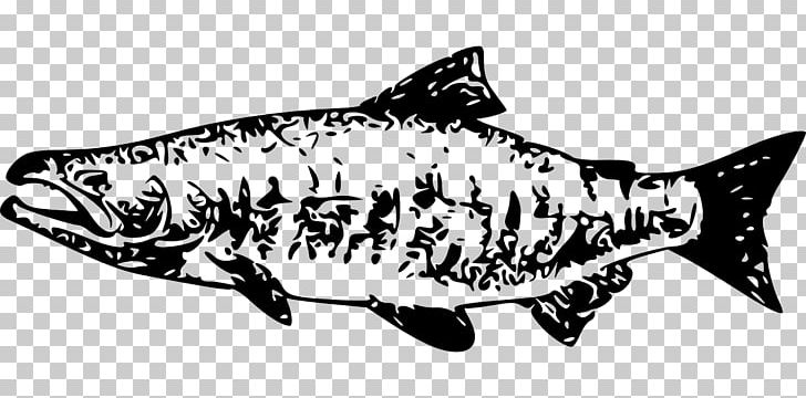 Sockeye Salmon Chinook Salmon PNG, Clipart, Animals, Art, Black And White, Cartilaginous Fish, Chinook Salmon Free PNG Download