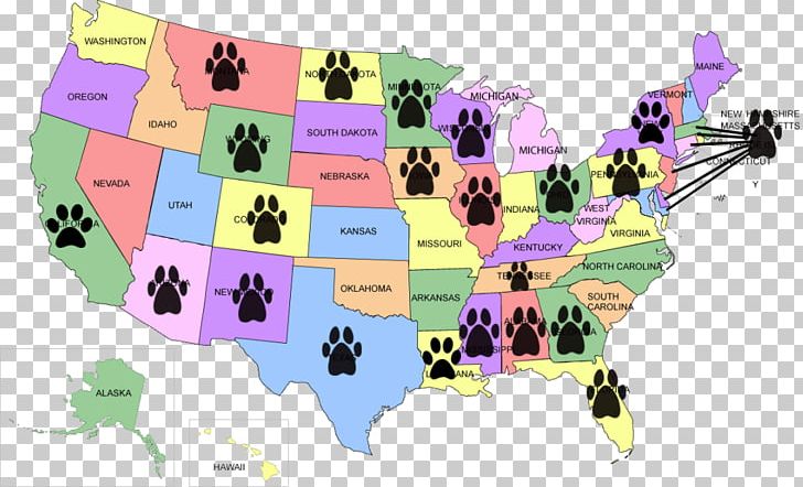 The Lost Dogs: Michael Vick's Dogs And Their Tale Of Rescue And Redemption Pet Lost Dogs' Home Animal Shelter PNG, Clipart,  Free PNG Download