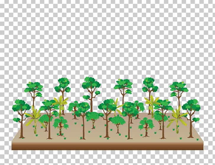 Tree Agroforestry Graphic Design Apuntes De Clase Del Curso Corto: Sistemas Agroforestales PNG, Clipart, Agroforestry, Business Cards, Drawing, Flower, Flowerpot Free PNG Download