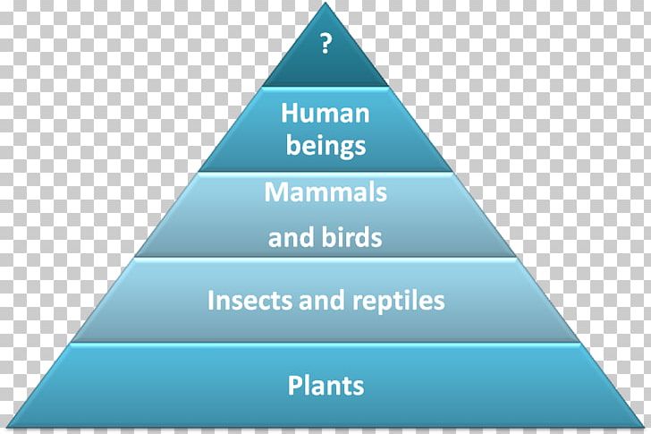 Maslow's Hierarchy Of Needs Psychology Society PNG, Clipart, Angle, Basic Needs, Blue, Brand, Diagram Free PNG Download