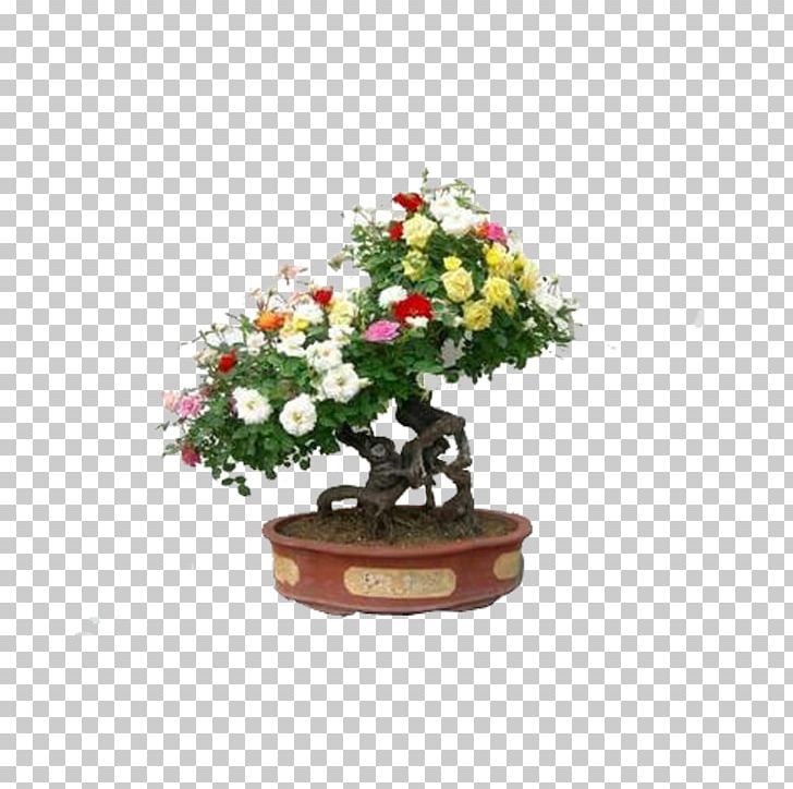 Chinese Sweet Plum Flowerpot Artificial Flower Tree PNG, Clipart, Artificial Flower, Bonsai, Chinese, Flower, Flowering Plant Free PNG Download