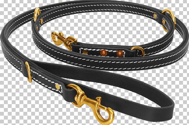 Leash Dog Collar Lead Working Dog PNG, Clipart, Animals, Collar, Detection Dog, Dock Jumping, Dog Free PNG Download