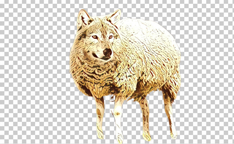 Sheep Sheep Wildlife Livestock PNG, Clipart, Livestock, Sheep, Wildlife Free PNG Download