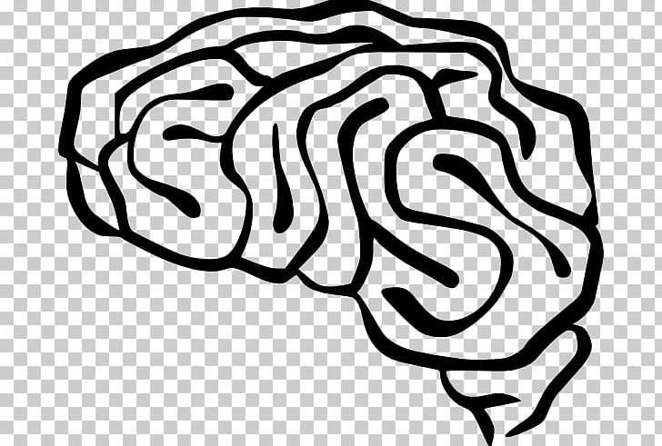 Human Brain PNG, Clipart, Area, Black And White, Brain, Computer Icons, Download Free PNG Download