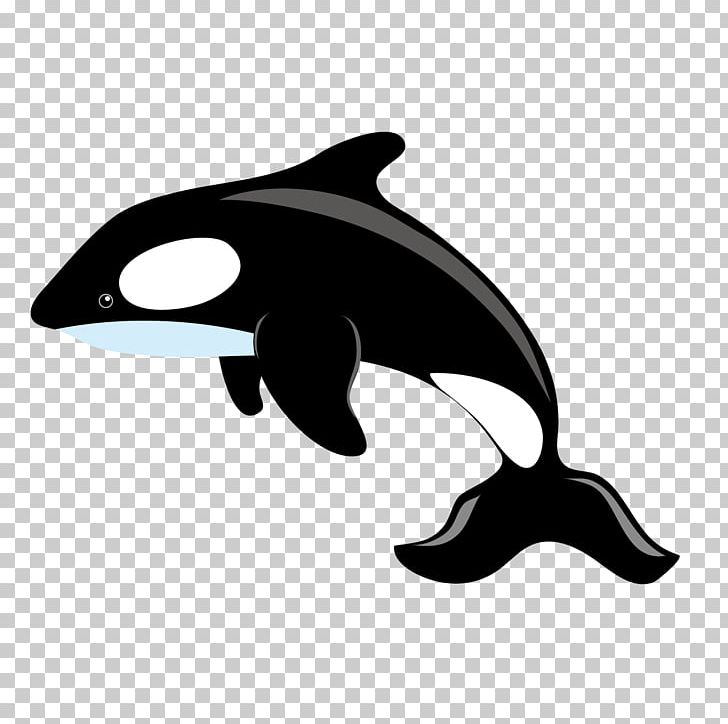 Killer Whale Blue Whale PNG, Clipart, Animals, Aquatic Creatures, Black, Free Content, Happy Birthday Vector Images Free PNG Download