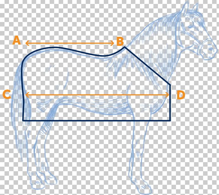 Pony H.R. Fisken And Sons Mustang Halter Equestrian PNG, Clipart, Area, Arm, Bridle, Drawing, Equestrian Free PNG Download