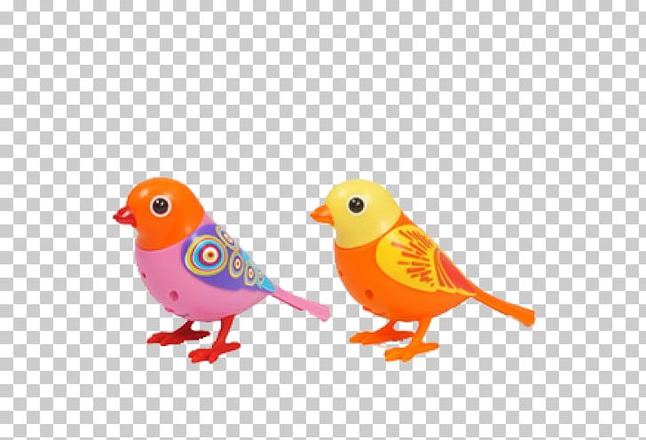 Toy Bird Whistling Whistle Nano Falcon Infrared Helicopter PNG, Clipart, Artikel, Beak, Bird, Child, Feather Free PNG Download