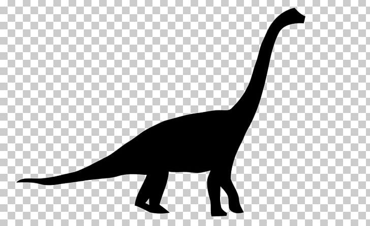 Brachiosaurus Apatosaurus Diplodocus Brontosaurus Dinosaur Size PNG, Clipart, Ankylosaurus, Antarctosaurus, Apatosaurus, Black And White, Brachiosaurus Free PNG Download