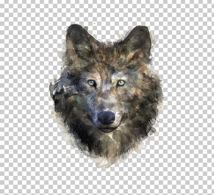 Gray Wolf T-shirt Black Wolf Drawing Illustration PNG, Clipart, African Wild Dog, Animal, Animals, Black, Black Wolf Free PNG Download