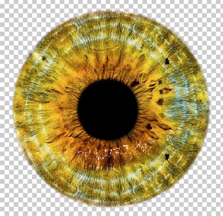 Human Eye Pupil PNG, Clipart, Circle, Clip Art, Closeup, Color, Contact Lenses Free PNG Download