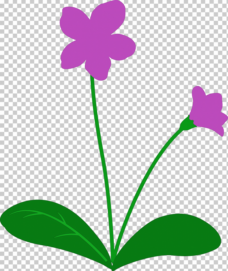 Violet Flower PNG, Clipart, Flower, Leaf, Orchids, Petal, Picture Frame Free PNG Download