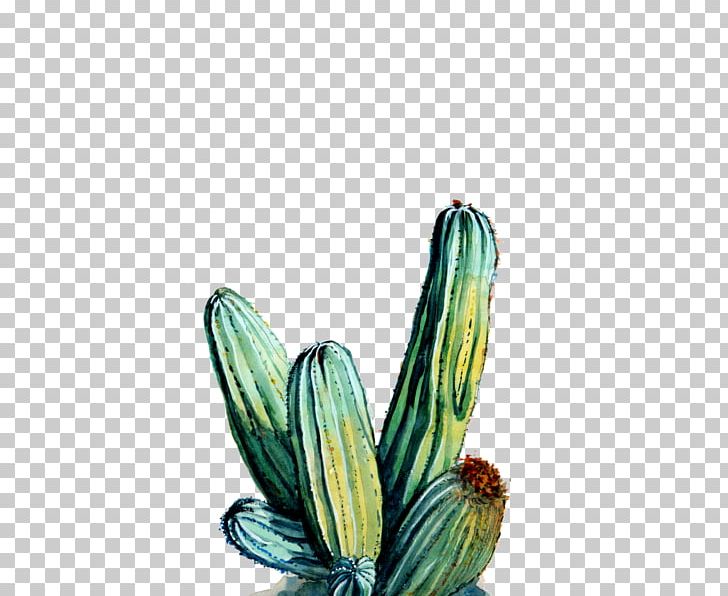 Cactaceae Printmaking Art Museum Flower PNG, Clipart, Art, Artist, Art Museum, Cactaceae, Cactus Free PNG Download