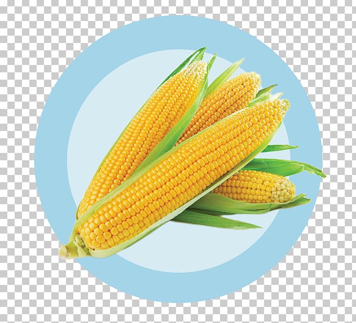 Corn On The Cob Maize Corn Kernel Sweet Corn Ingredient PNG, Clipart, Chemical Substance, Coconut, Coconut Oil, Commodity, Corn Free PNG Download