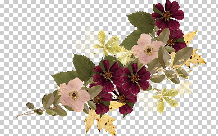 Floral Design Flower Petal PNG, Clipart, Blossom, Branch, Color, Designer, Download Free PNG Download