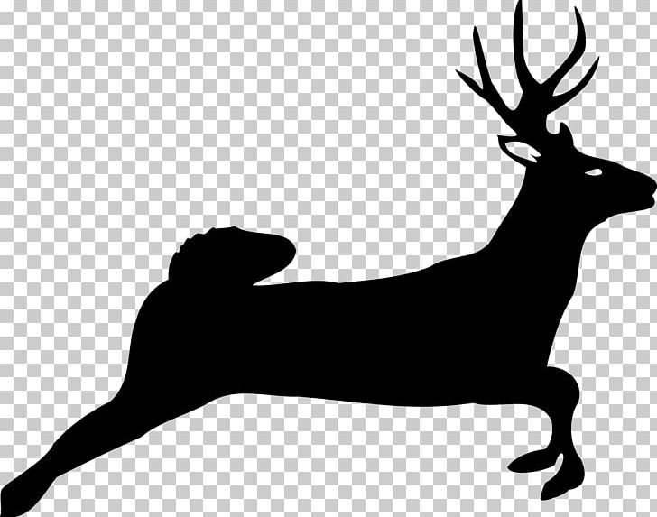 White-tailed Deer Moose PNG, Clipart, Animals, Antler, Bison, Black, Black And White Free PNG Download