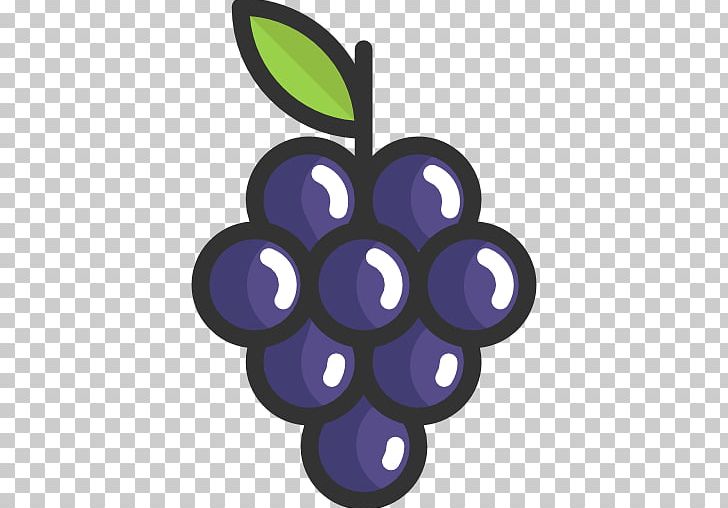 Common Grape Vine Wine Food Fruit PNG, Clipart, Berry, Circle, Common Grape Vine, Computer Icons, Flowering Plant Free PNG Download