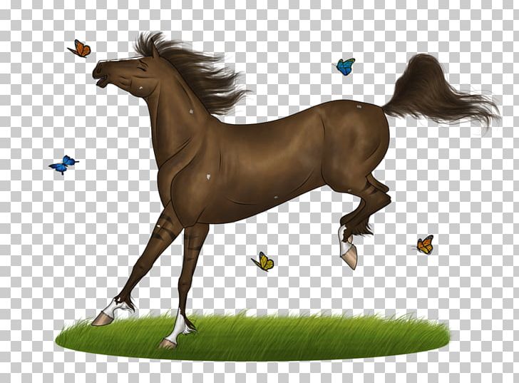 Mustang Stallion Foal Mare Colt PNG, Clipart, Bridle, Colt, Foal, Grass, Halter Free PNG Download