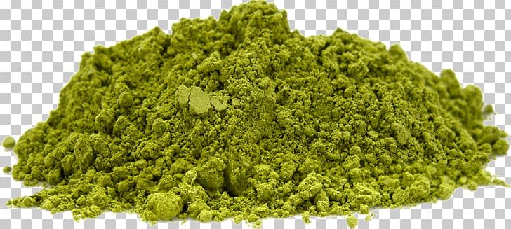 Aam Panna Green Tea Matcha Coffee PNG, Clipart, Aam Panna, Black Tea, Coffee, Drink, Extract Free PNG Download