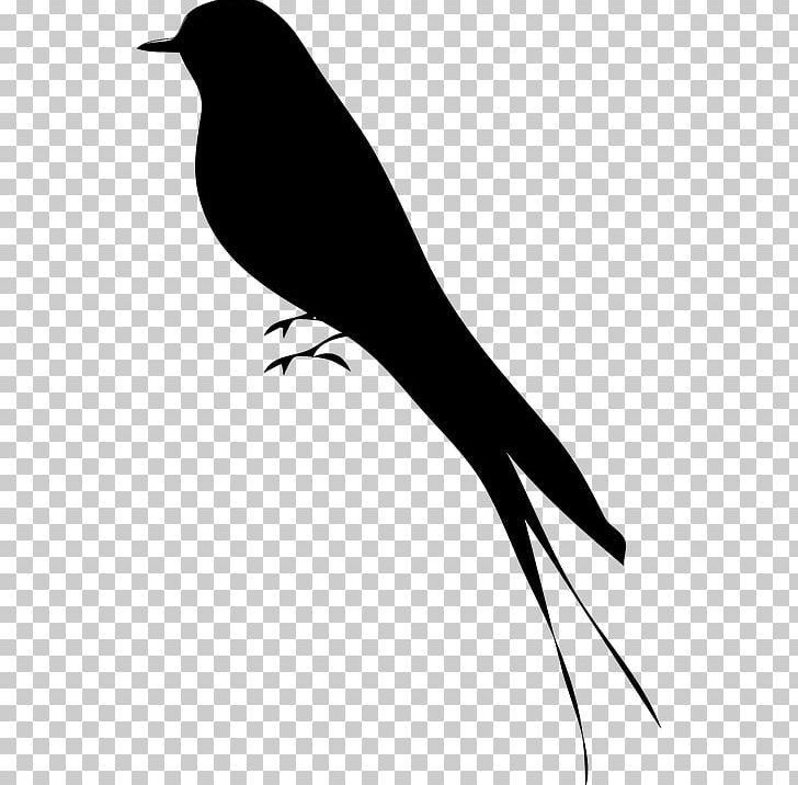 Bird Silhouette PNG, Clipart, Art, Beak, Bird, Black And White, Branch Free PNG Download
