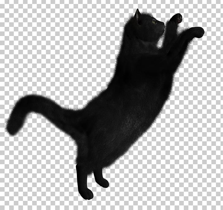 Black Cat Kitten PNG, Clipart, Animals, Black, Black And White, Black Cat, Bombay Free PNG Download
