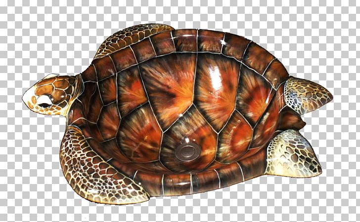 Box Turtle Artistic Illusions Sea Turtle Sink PNG, Clipart, Anderson, Animals, Art, Artist, Artistic Free PNG Download