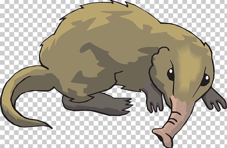 Elephant Shrew PNG, Clipart, Amphibian, Animal Figure, Art, Artwork, Blog Free PNG Download