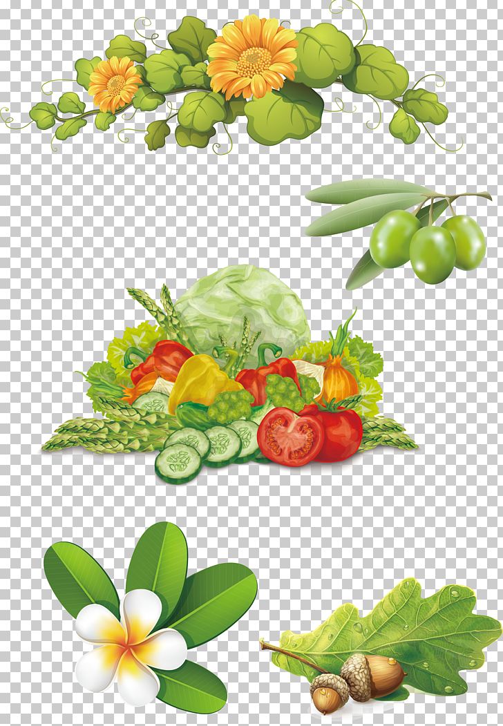 Natural Foods Food Tomato PNG, Clipart, Acorn, Asparagus, Cabbage, Cucumber, Diet Food Free PNG Download