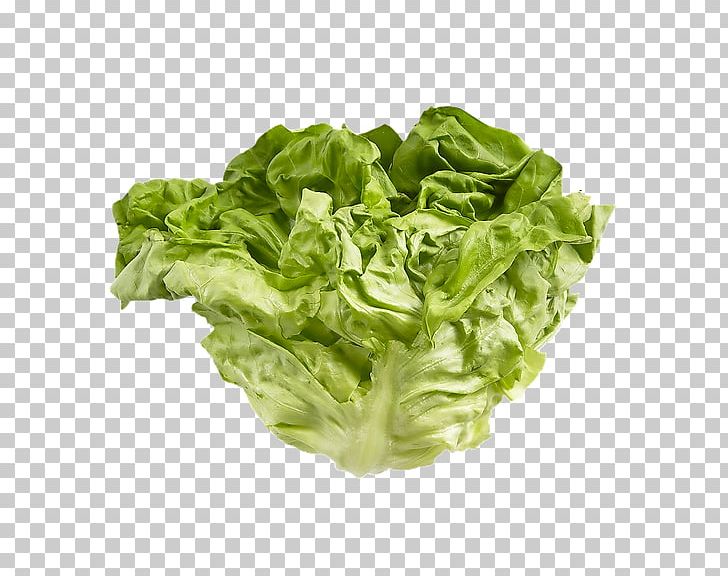 Romaine Lettuce Cabbages Glucosinolate Spring Greens Kale PNG, Clipart, Boston, Brussels Sprout, Cabbages, Chard, Choy Sum Free PNG Download