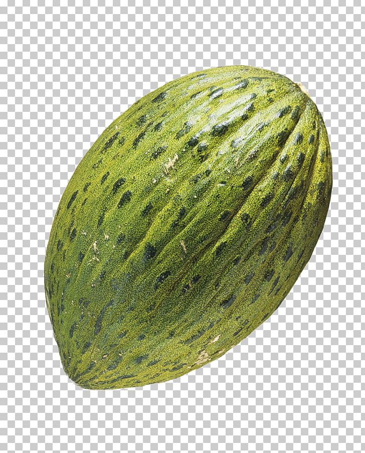 Spain Cucumber Cantaloupe Melon PNG, Clipart, Adobe Illustrator, Auglis, Bitter Melon, Cantaloupe, Encapsulated Postscript Free PNG Download