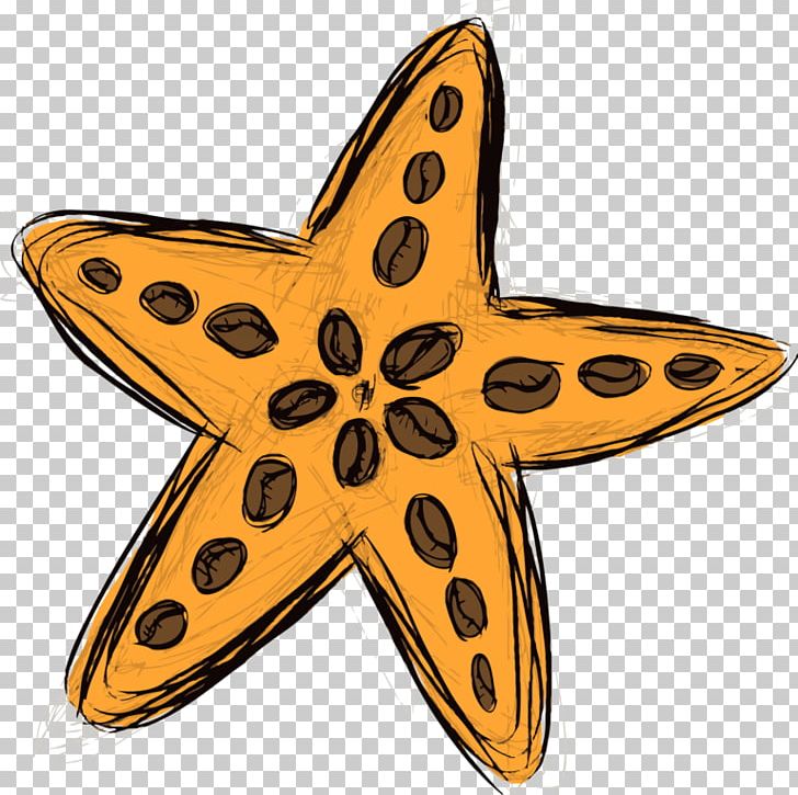 Starfish Symbol PNG, Clipart, Animals, Coffee, Echinoderm, Entertainment, Fish Free PNG Download