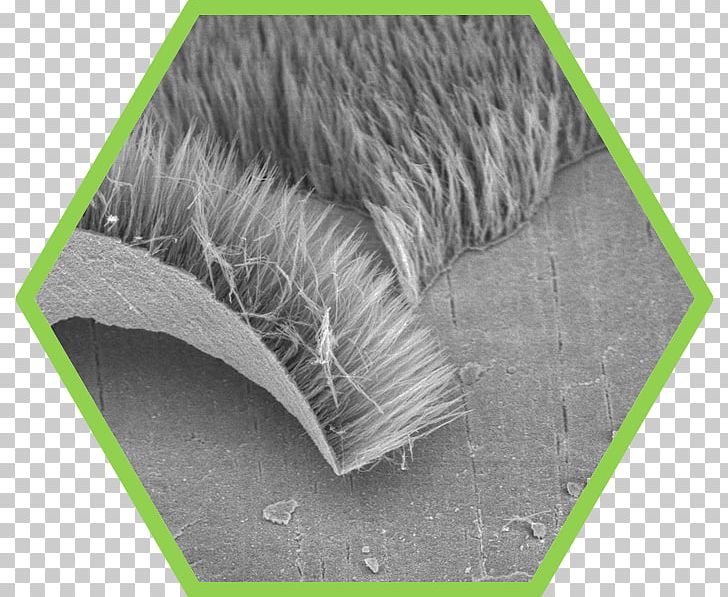 Vertically Aligned Carbon Nanotube Arrays Nanocső Nanoparticle PNG, Clipart, Carbon, Carbon Nanotube, Composite Material, Grass, Green Free PNG Download