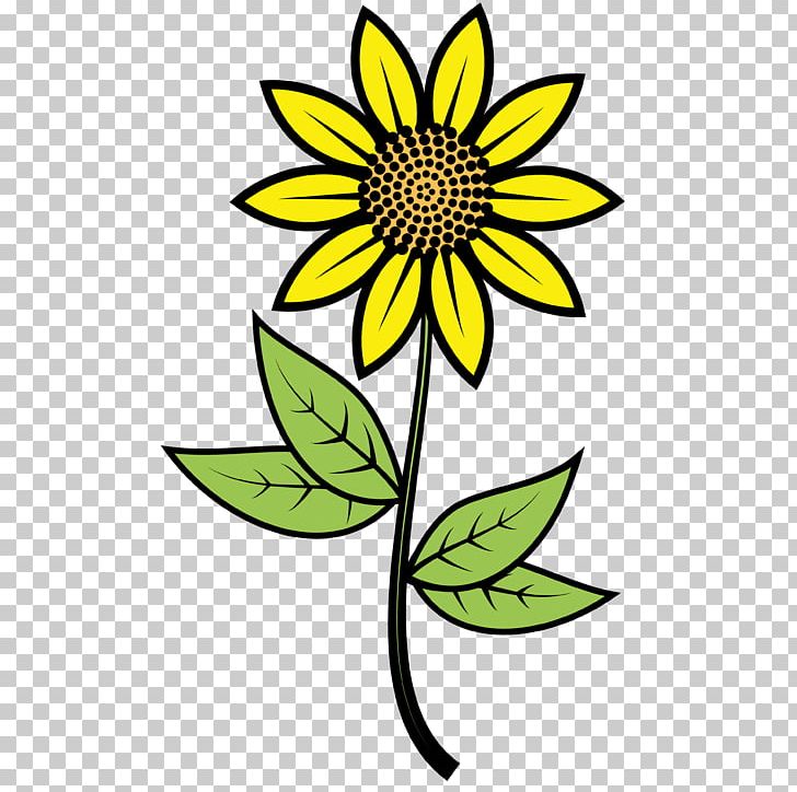 Common Sunflower Euclidean PNG, Clipart, Adobe Illustrator, Cartoon, Daisy Family, Encapsulated Postscript, Flower Free PNG Download