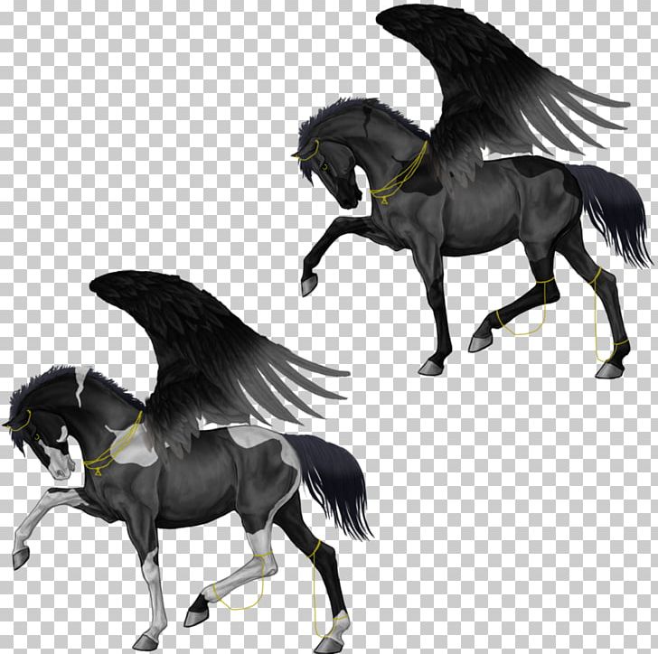 Mustang Stallion Pack Animal Freikörperkultur Legendary Creature PNG, Clipart, Black And White, Fictional Character, Fiona Fox, Horse, Horse Like Mammal Free PNG Download