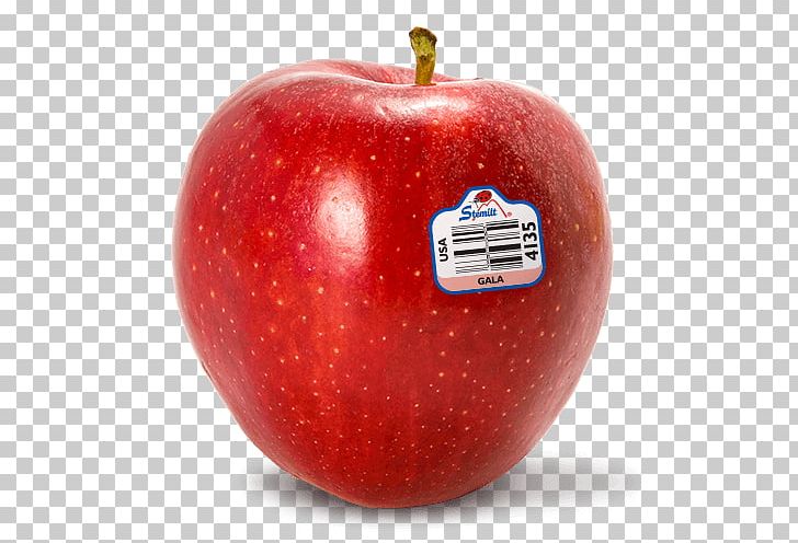 Apple Pie Gala Organic Food Red Delicious PNG, Clipart,  Free PNG Download
