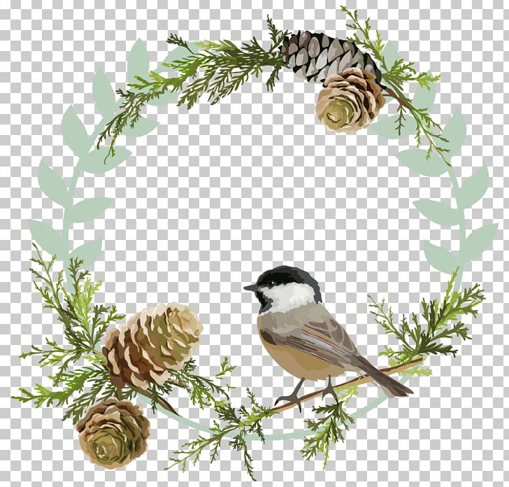 Bird Christmas PNG, Clipart, Animals, Beak, Bird, Bird Food, Bird Nest Free PNG Download