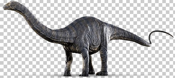 Jurassic World Evolution Apatosaurus Pachycephalosaurus Dinosaur PNG, Clipart, Animal Figure, Apatosaurus, Evolution, Extinction, Isla Nublar Free PNG Download