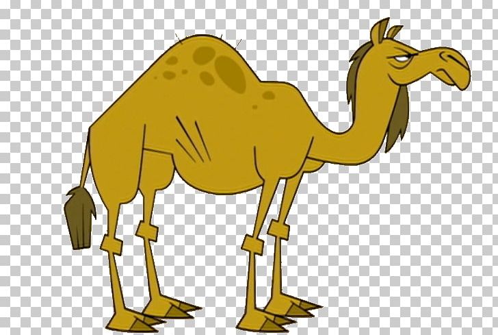 Chef Hatchet Drawing Camel Total Drama World Tour PNG, Clipart, Animal Figure, Animals, Arabian Camel, Art, Art Museum Free PNG Download
