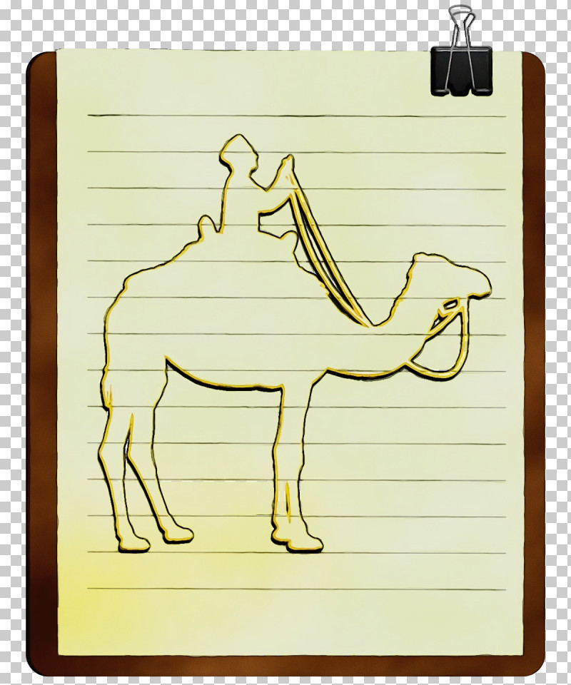 Camels Joint Cartoon Paper Yellow PNG, Clipart, Biology, Camels, Cartoon, Human Biology, Human Skeleton Free PNG Download