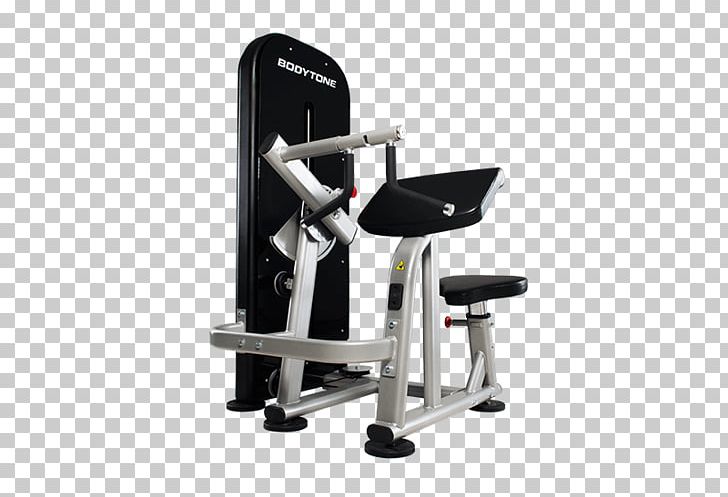 Biceps Triceps Brachii Muscle Bench Strength Training Elliptical Trainers PNG, Clipart, Bench, Biceps, Biceps Curl, Chair, Devine Fitness Equipment Free PNG Download