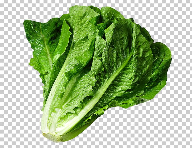 Lettuce Sandwich Butterhead Lettuce Vegetable PNG, Clipart, Butterhead Lettuce, Cabbage, Celtuce, Chard, Choy Sum Free PNG Download