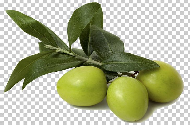 Olive Oil Olive Leaf Food Ingredient PNG, Clipart, Carrier Oil, Extract, Food, Food Ingredient, Foot Free PNG Download