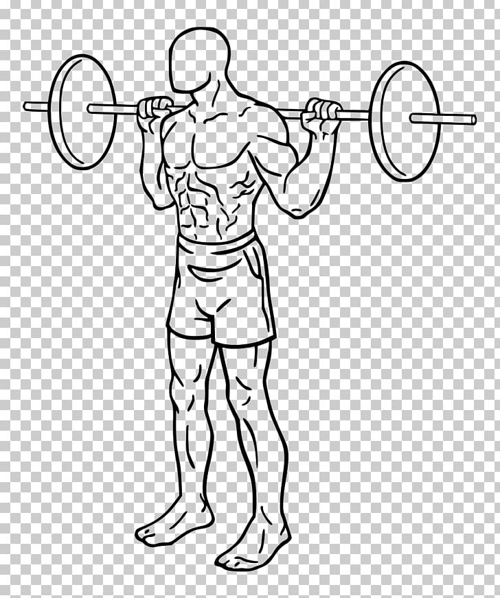Weight Training Squat Olympic Weightlifting Exercise Strength Training PNG, Clipart, Abdomen, Angle, Arm, Barbell, Biceps Curl Free PNG Download