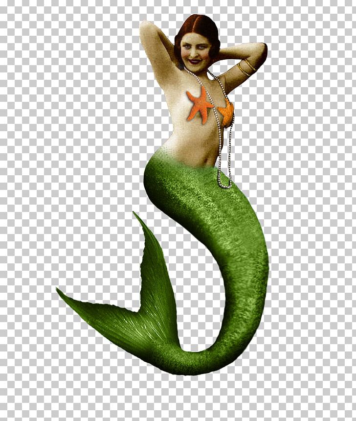Ariel Mermaid Siren Tail PNG, Clipart, Ariel, Art, Drawing, Fairy, Fairy Tale Free PNG Download